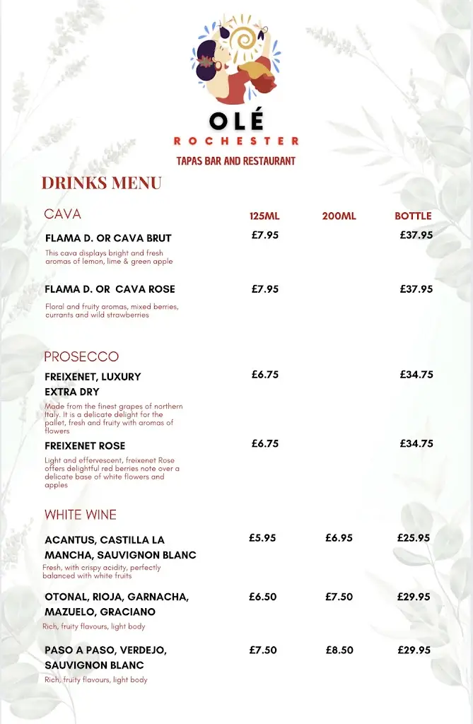 Menu_Olé Rochester_Burham_immagine_4