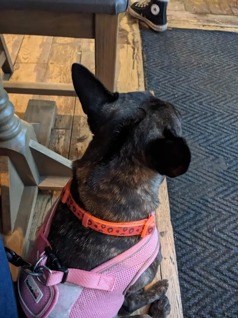 Jeannie Foulkes_Chequers Pub And kitchen_Burbage_review