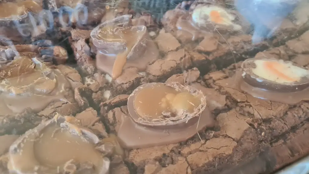 Menu_Petek's on the Park_Burgess Hill_image_9