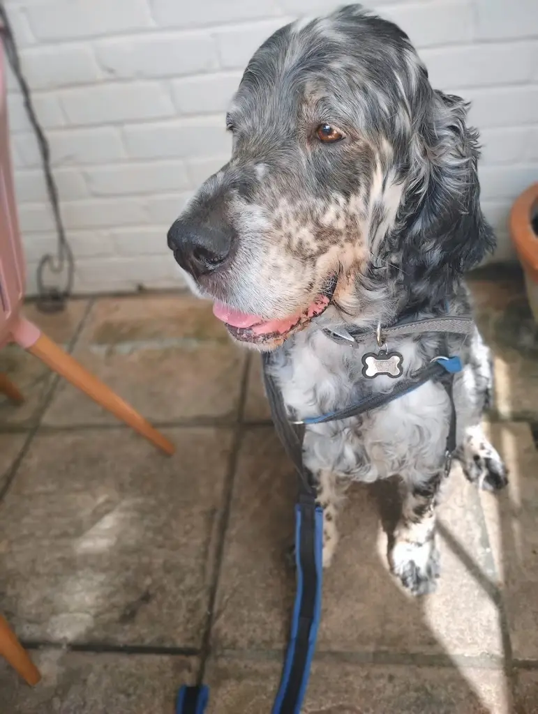 NEIL BALDWIN_Earsham Street Cafe_Bungay_review