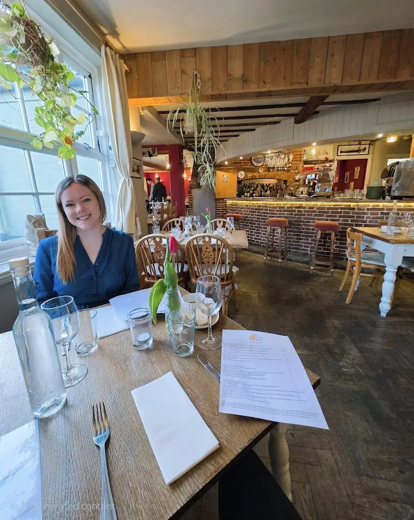 Stephanie Shinn_The Olive Tree_Bungay_review
