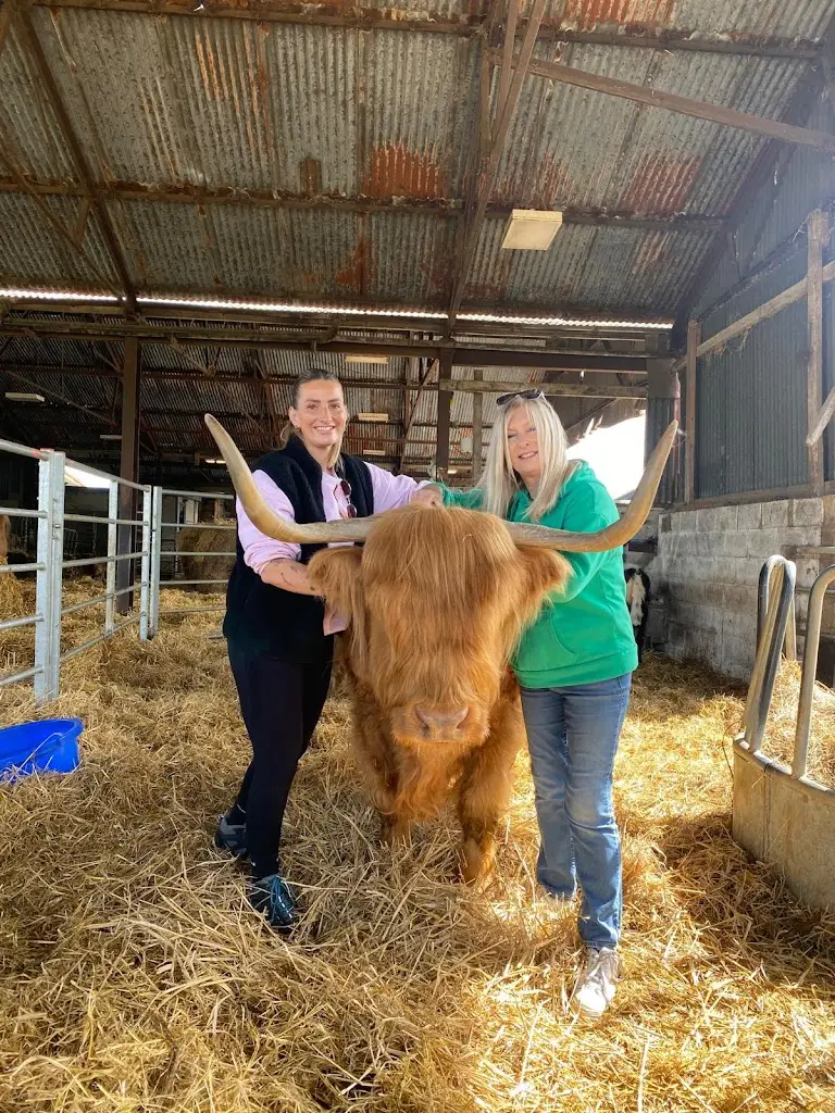 Chelsey Chick_Old Hall Farm_Bungay_review