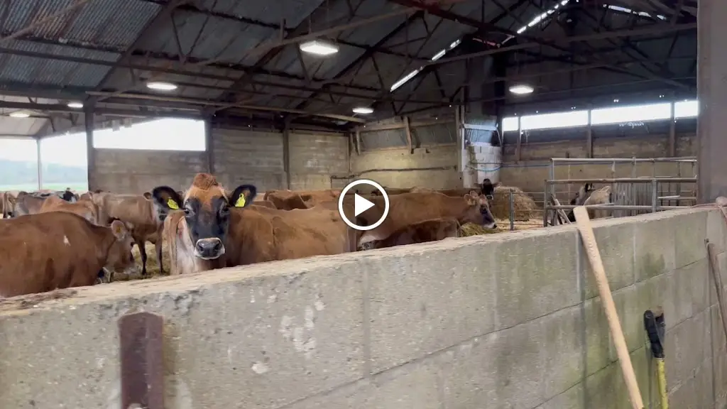 Old Hall Farm_Bungay_slider_image_2