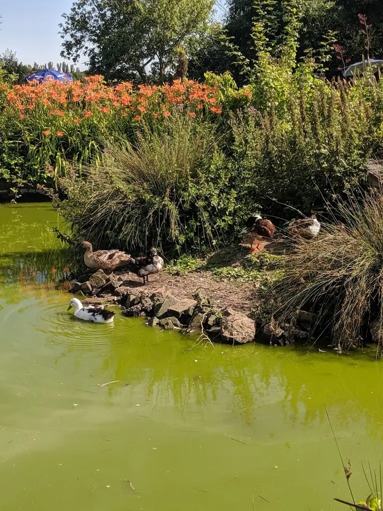 The Dog and Partridge_Bulphan_slider_image_3