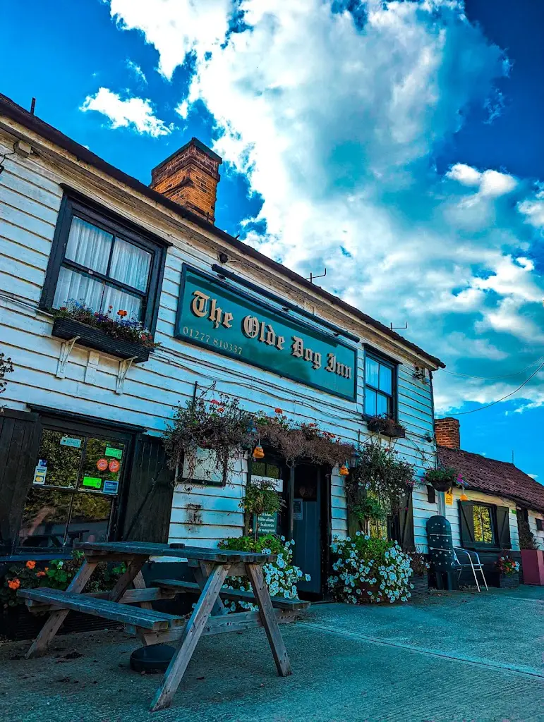 The Olde Dog Inn_Bulphan_slider_image_1