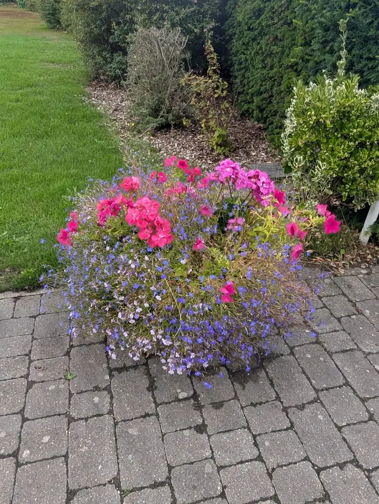 Ayisha Chariwala_Orsett Hall Hotel, Restaurant & Spa_Bulphan_review