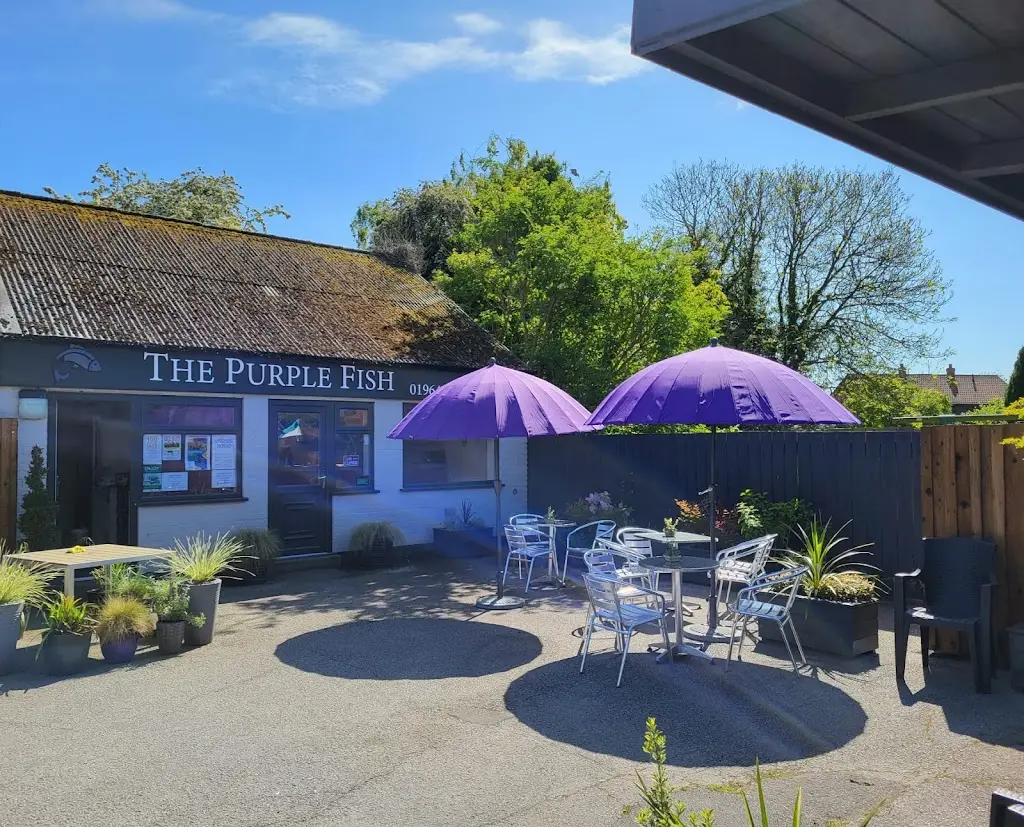 The Purple Fish_Burstwick_slider_image_1