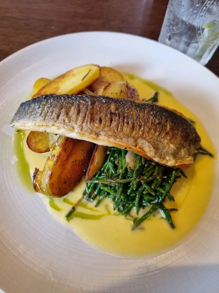 Samantha Brown_The Dial_Burton_review