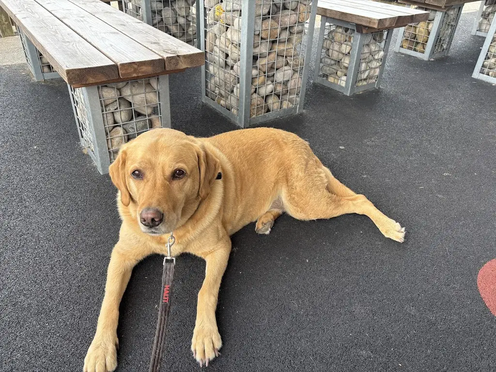 Ronald Stone_Dunstan Housen Inn_Burnham-on-Sea_review