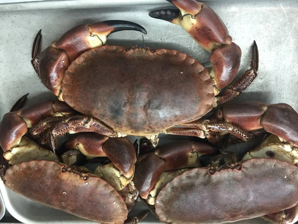 Menu_Burnham Seafood and Oyster Bar_Burnham-on-Crouch_image_2