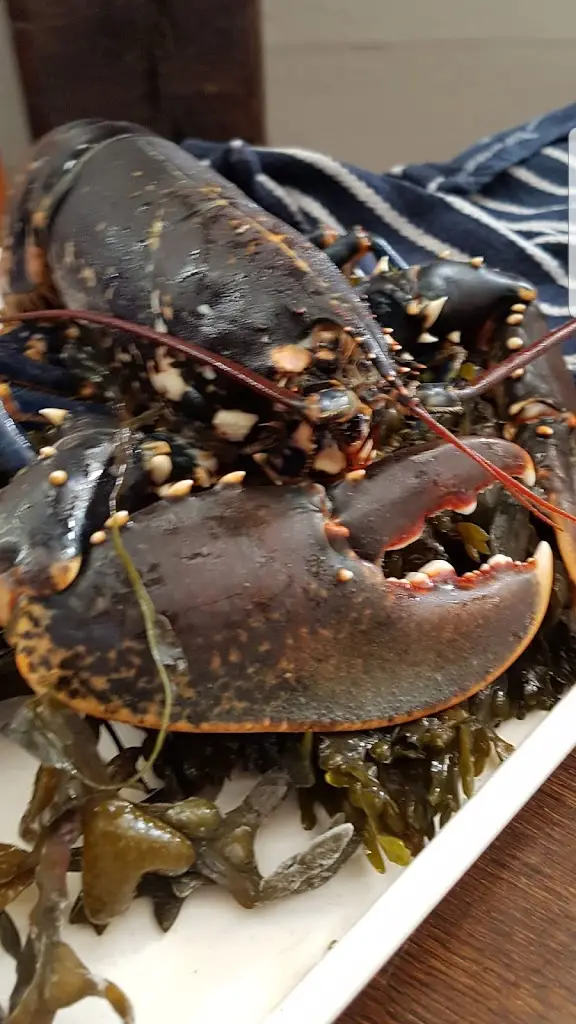 Menu_The White Hart Buxted_Buxted_imagen_7