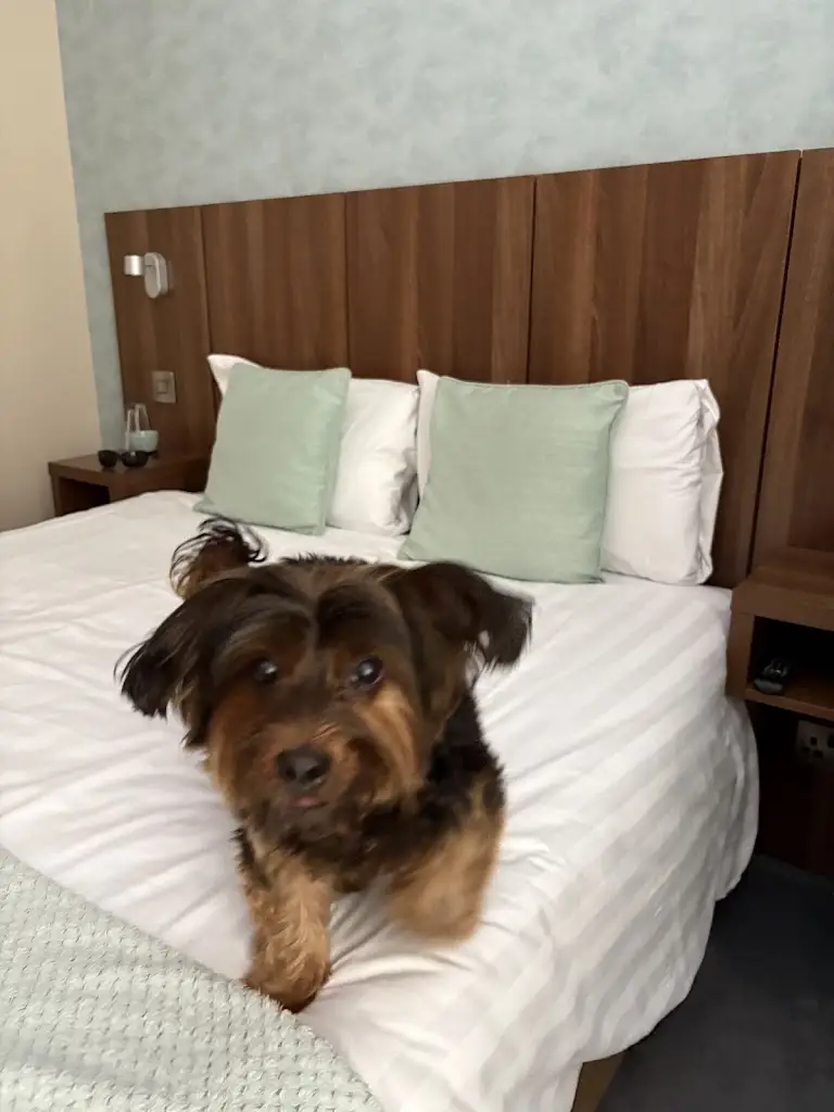 Rhiann_The Buxted Inn Pub | Dining | Rooms_Buxted_review