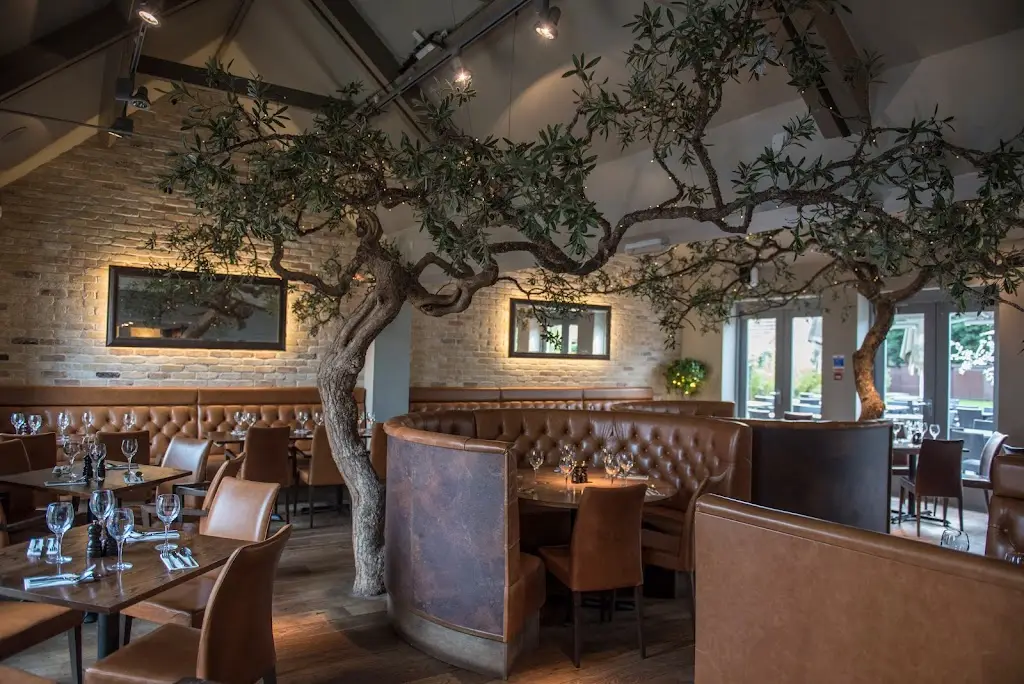 Zaza_Bushey_slider_image_1