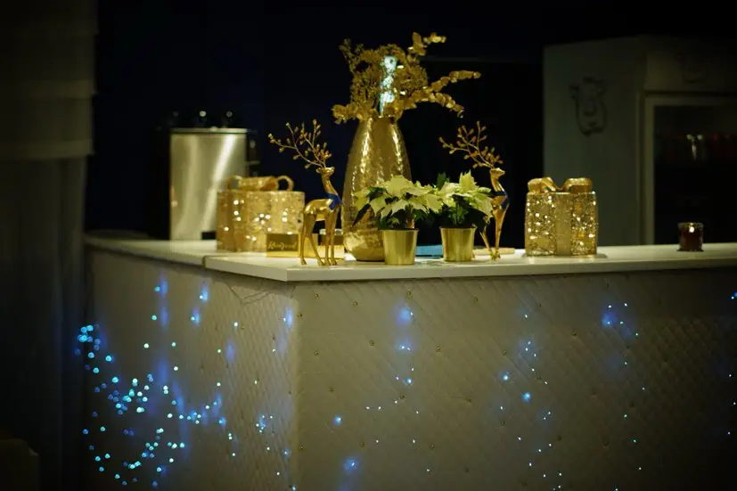 Golden Piggy Restaurant_Burngreave_slider_image_1