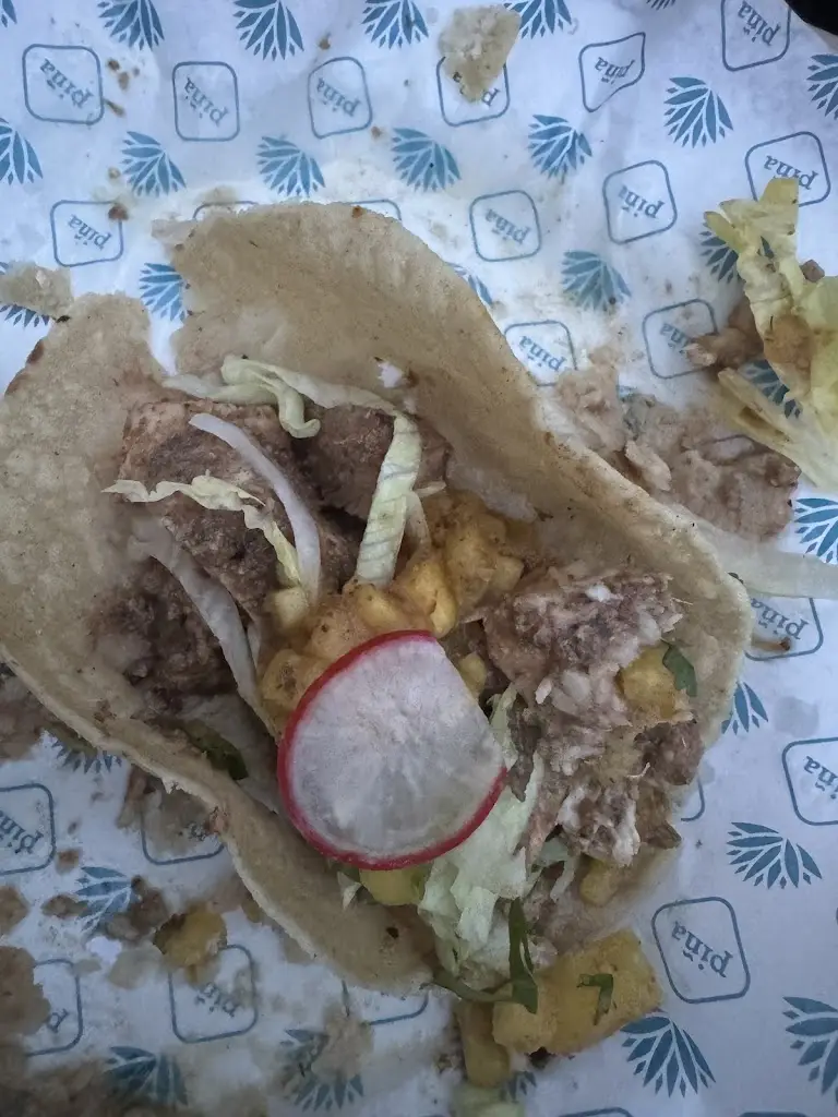 Paul REVIEWS_piña_Burngreave_review