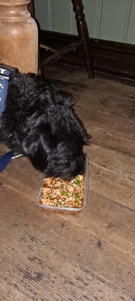 Rachel Christer_Compass Inn_Cadnam_review