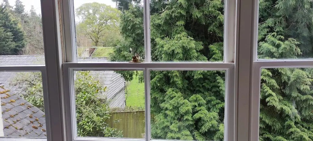 The Cattle Grid at Woodlands_Cadnam_slider_image_3