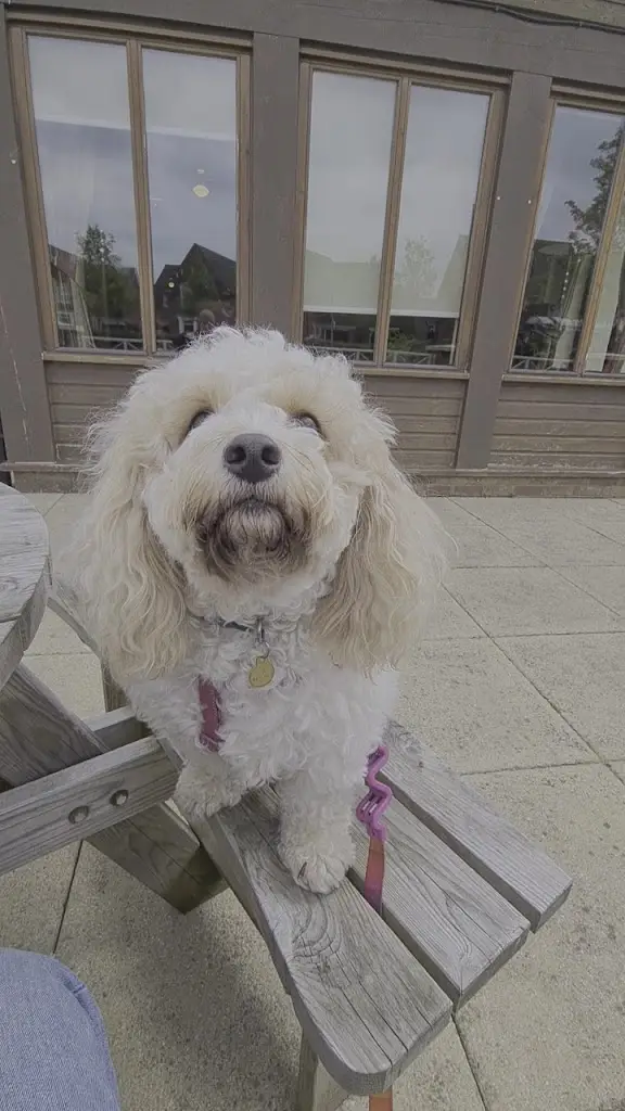 Chapelford Farm - Farmhouse Inns_Burtonwood_slider_image_2