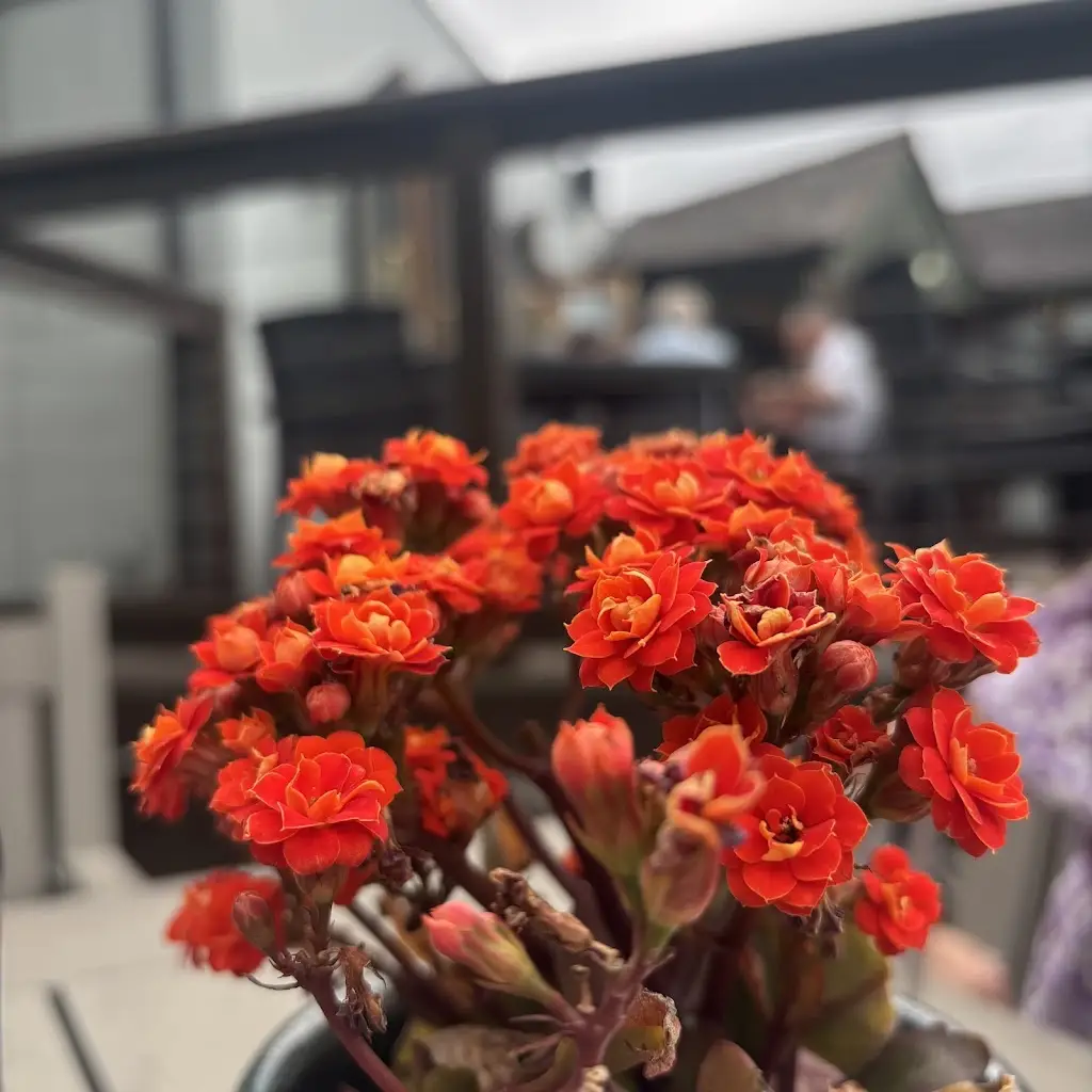 David Wortley_The Victoria_Alvechurch_review