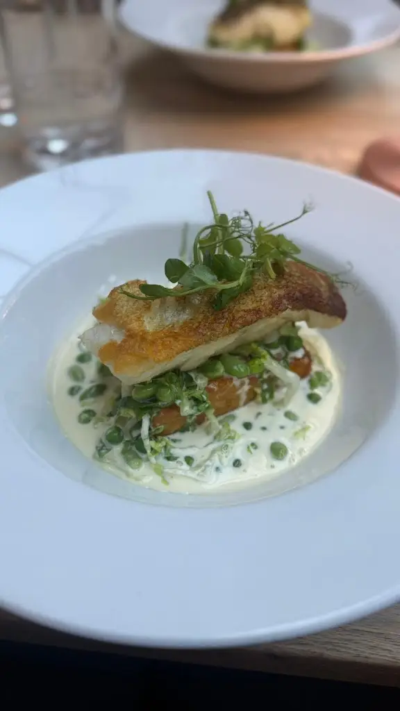 Natasha Cole_The One Bull_Bury St Edmunds_review