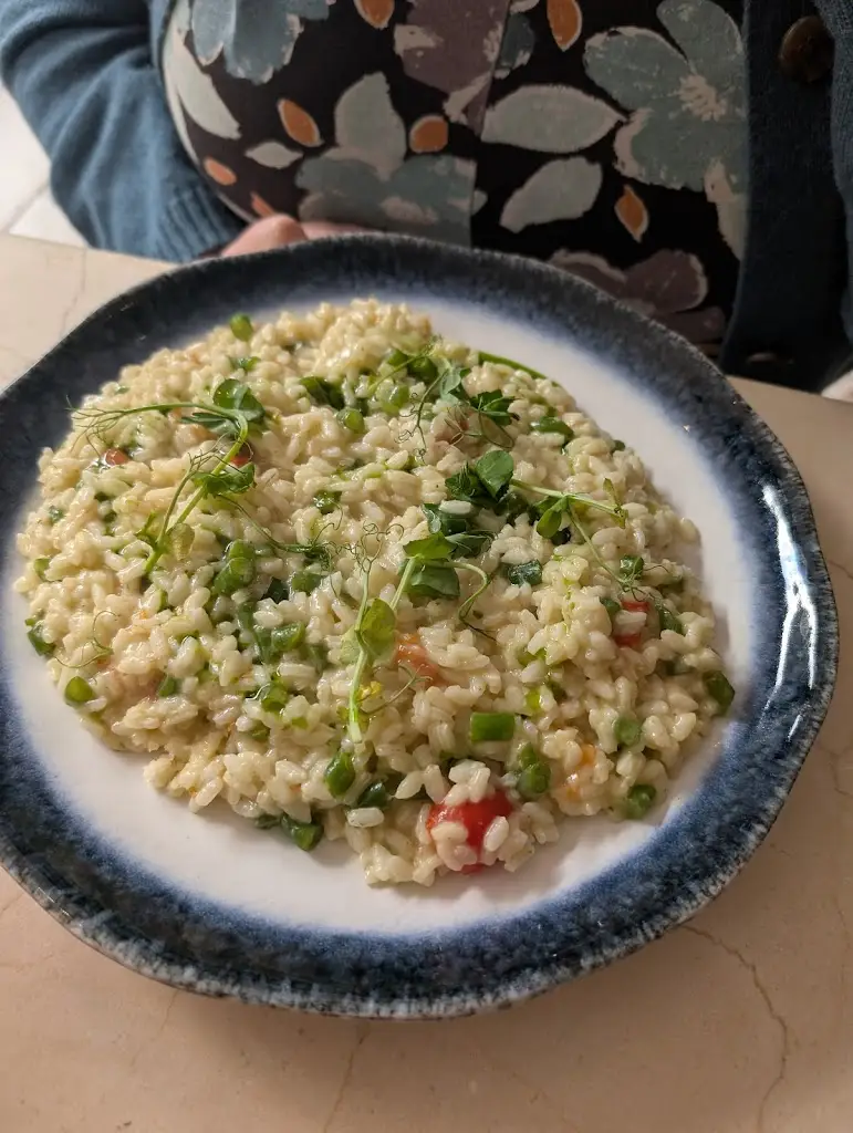 Matthew Dolman_The Olive Grove_Bury St Edmunds_review