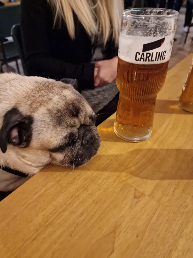 Menu_The Alvechurch Inn_Alvechurch_image_3