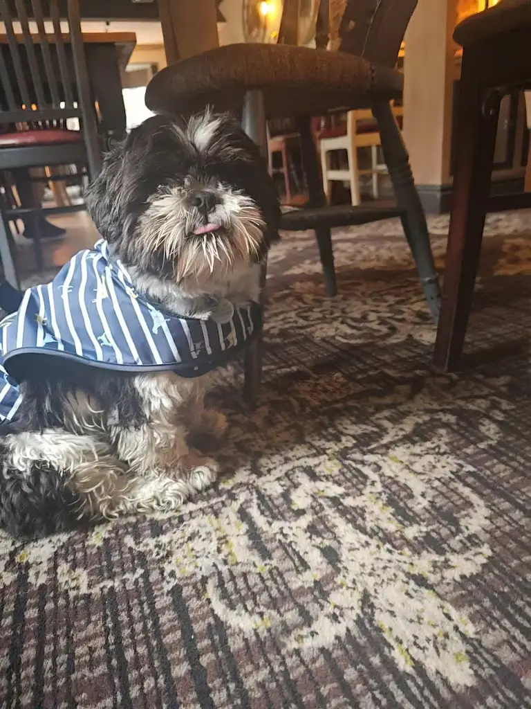 Amy R_The Railway at Buxton_Buxton_Bewertung