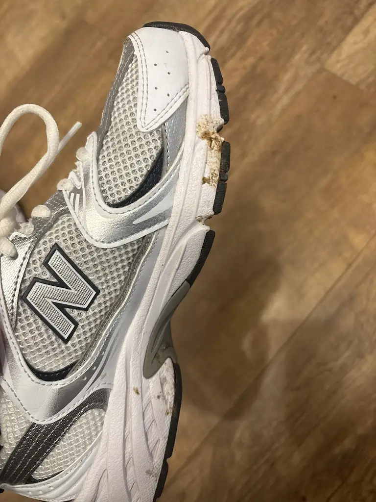 Z B_Bull & Dog_Burscough_review