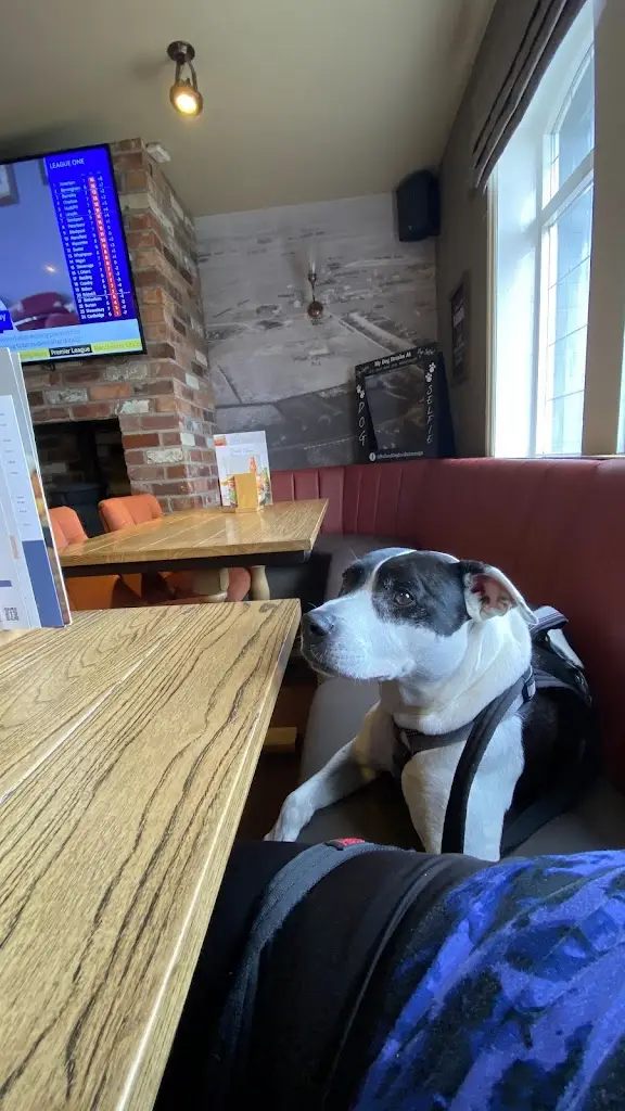 Gaynor Wynne_Bull & Dog_Burscough_review