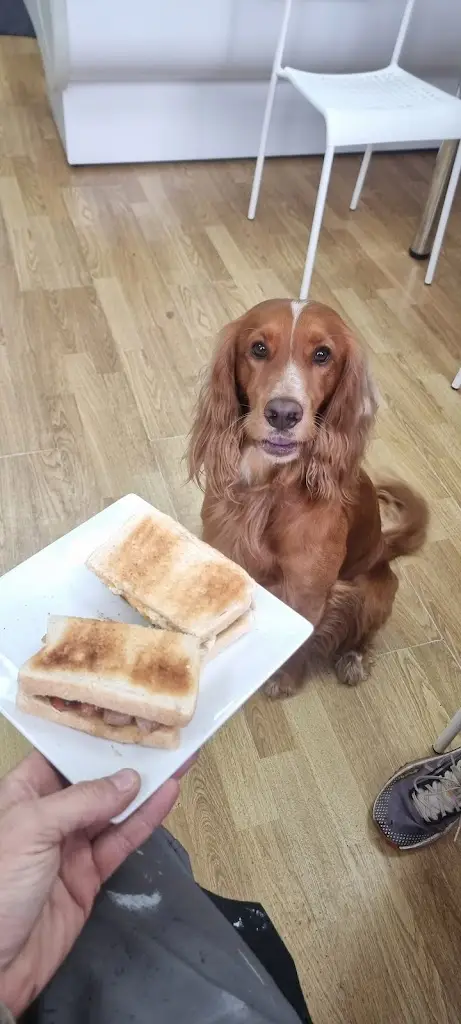 Paul Canadine_Cafe 48 | Burscough_Burscough_review