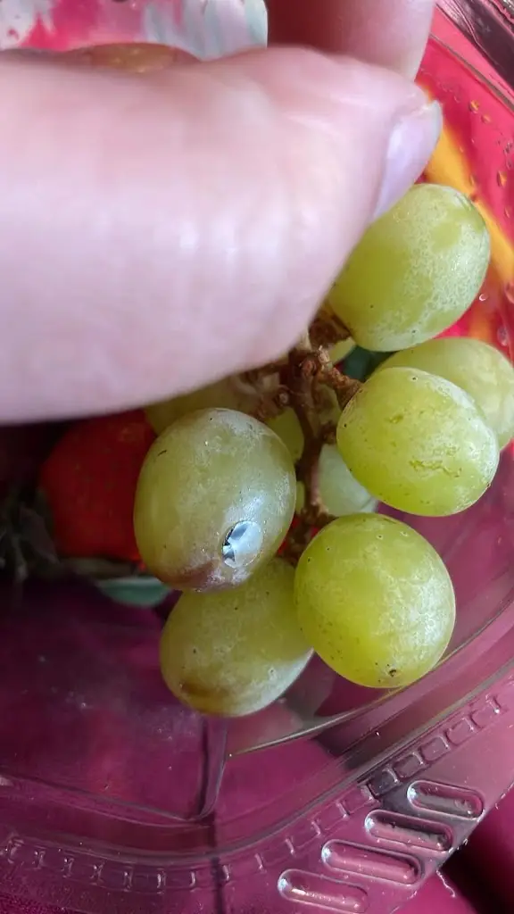 Menu_TourDeFranks_Burscough_image_8