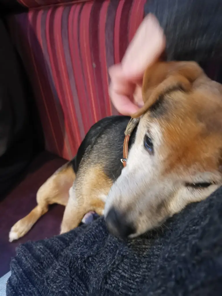 Dawn Chapman_The Bridge_Burscough_review