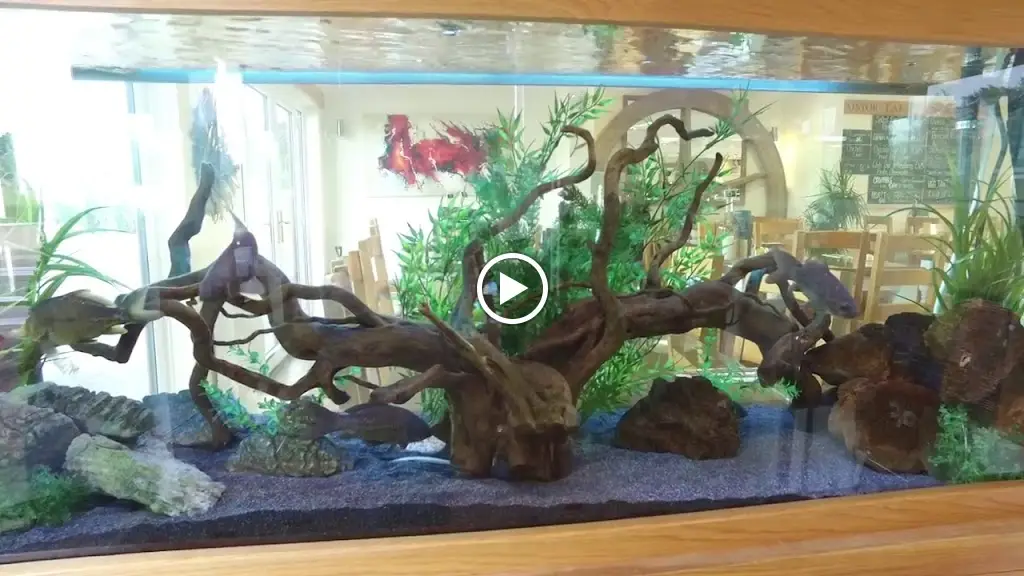 Caistor Lakes Leisure Park and Restaurant_Caistor_slider_image_2