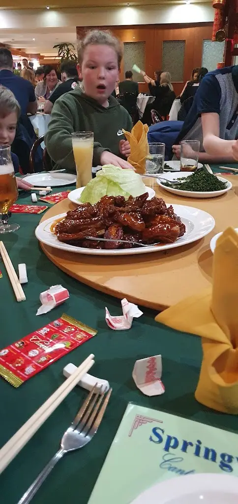 Menu_Springwater Chinese Restaurant_Calverton_image_8