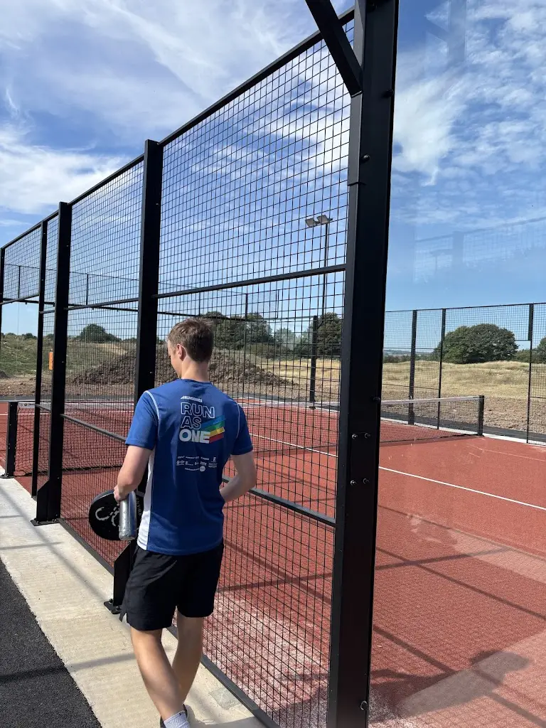 Nikhil John_Mad Swans in The Mendips_Cameley_review