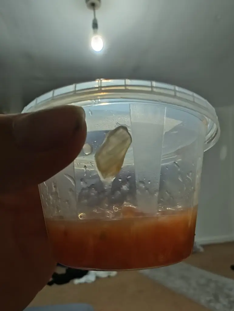 Menu_Steakout - Callington_Callington_image_6