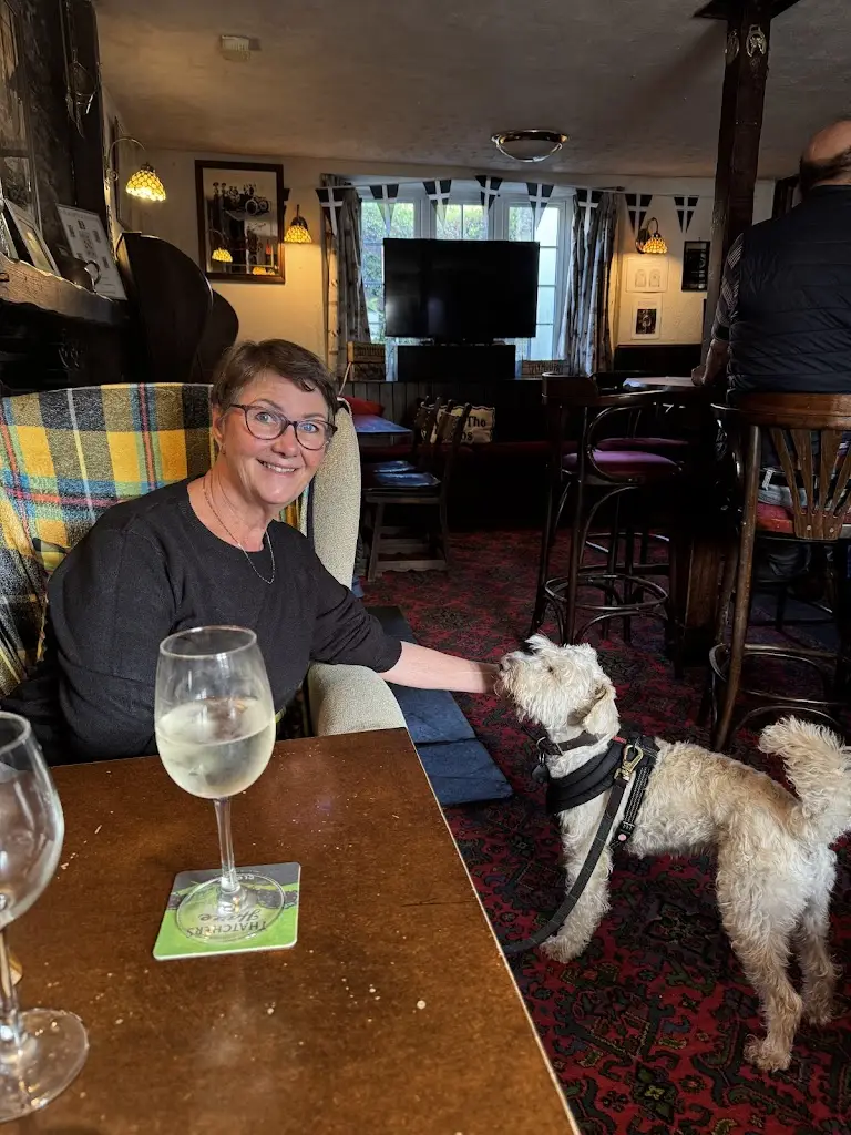 Alison Abbott_Manor House Inn_Callington_review