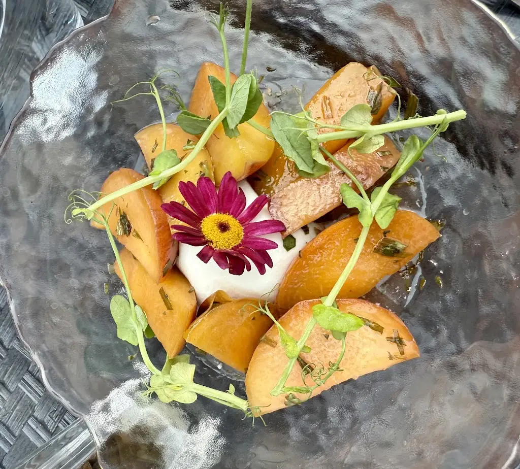 Warped Mind Milliner_Galleria_Cambridge_review