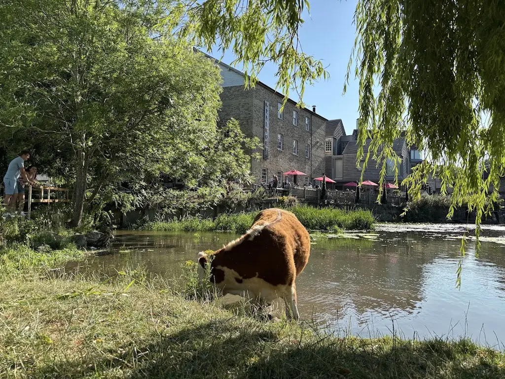 Dan Smith_MillWorks_Cambridge_review