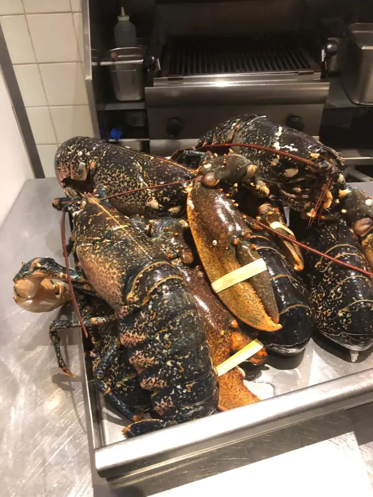 Menu_Chico's Restaurant_Caister-on-Sea_image_5