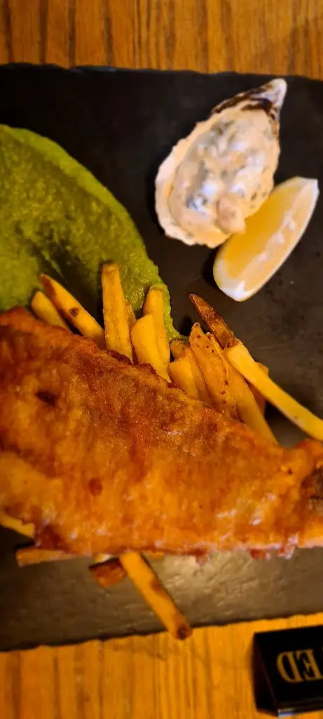 stephanie ernestine_The Owl_Camber_review