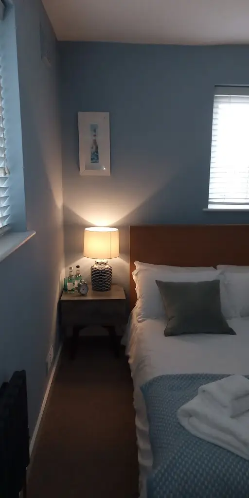 The Owl_Camber_slider_image_3