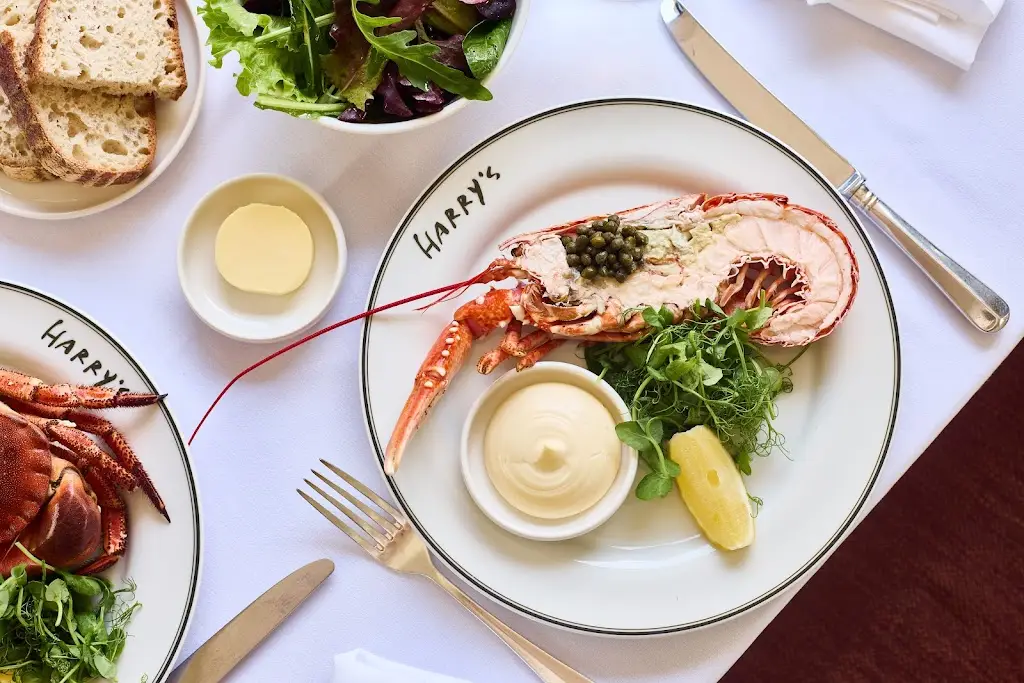 Harry's_Camber_slider_image_2