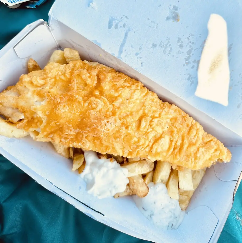 Ahnaful A_TGM's_Camber_review