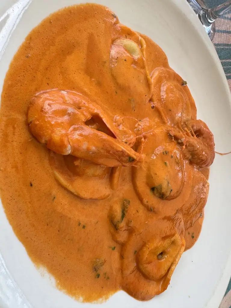 Ananya Mohanty_Simply Italian_Camber_review