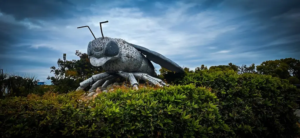 Zaneta Pluska_Canvey Seafront_Canvey Island_review