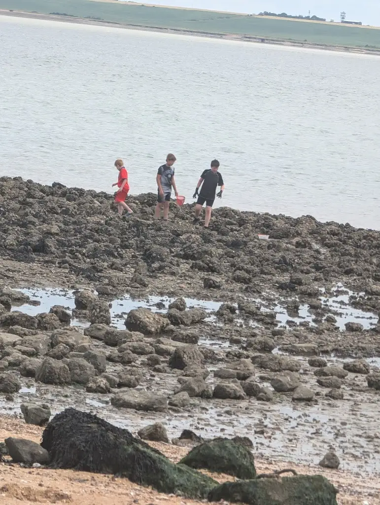 Jenny Stoughton_Canvey Seafront_Canvey Island_review