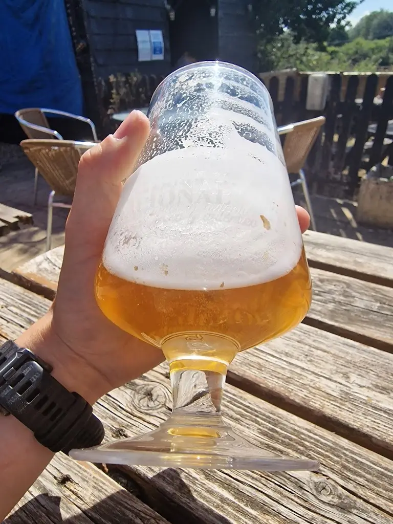 shaun mckinley_The Wheatsheaf Inn_Castle Hedingham_review