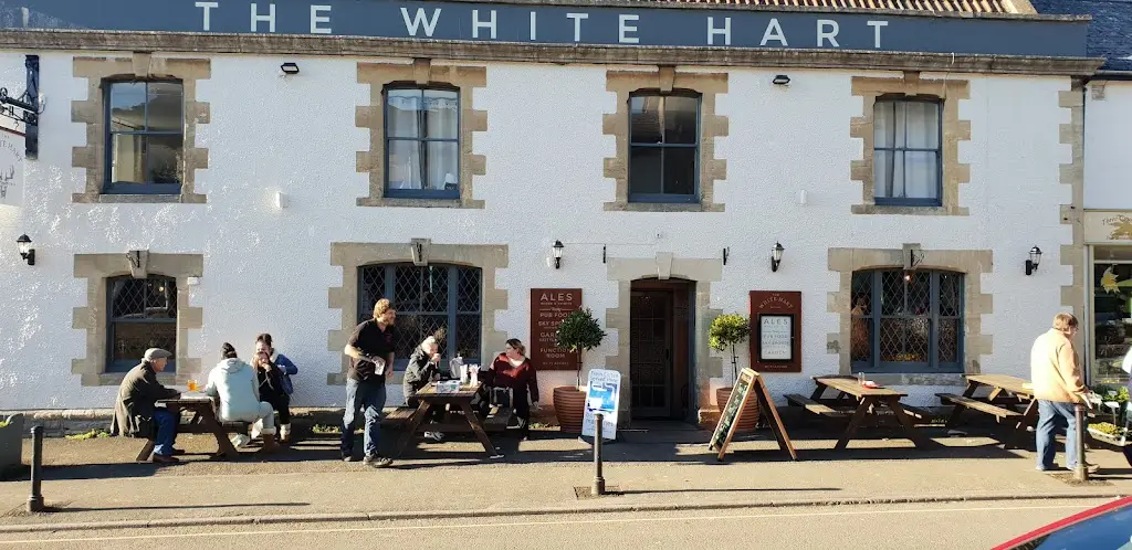 adam Pinson_The White Hart_Castle Cary_review
