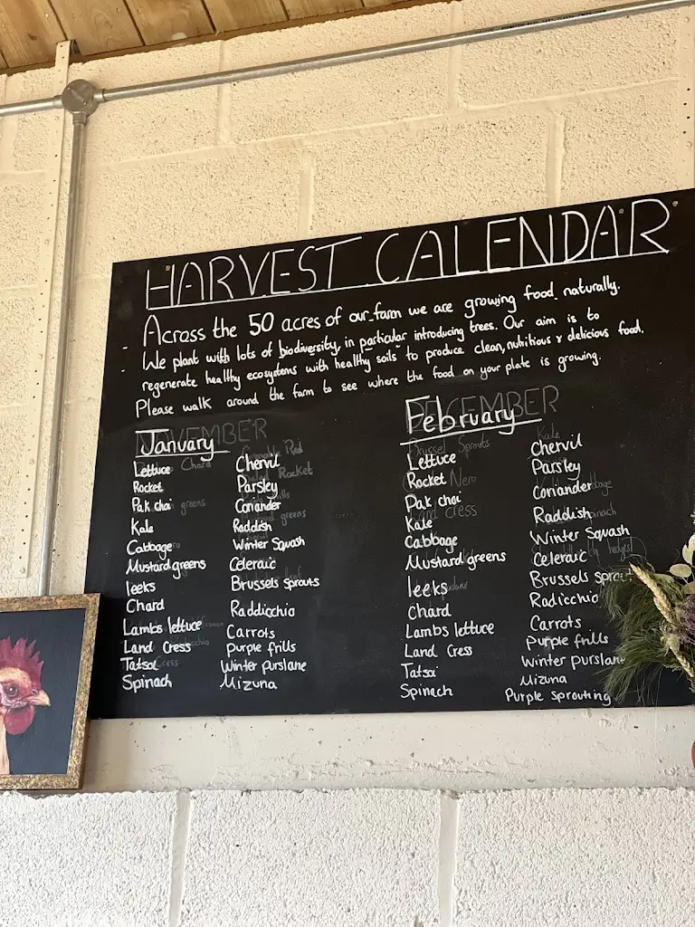 Menu_Higher Farm_Castle Cary_image_3